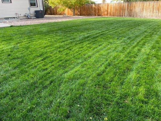 Preferred Sprinkler Service