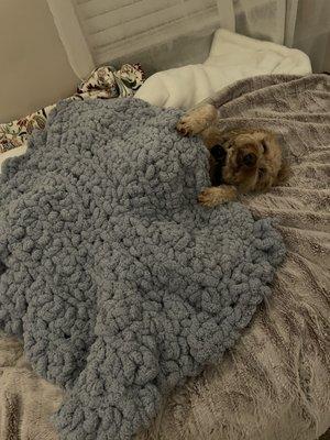 Fuzzy Friends Pet Sitting