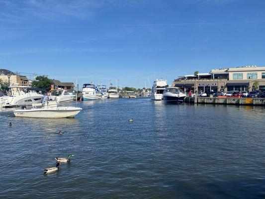Marina inlet off Chesapeake Bay