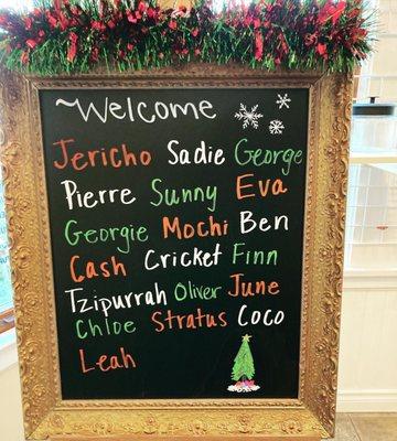 Grand Avenue Veterinary Center