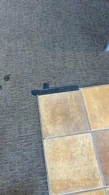 Just Sports-Promenade At Casa Grande