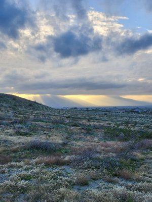 Stunning Sierra Estrella beauty that flies my Spirit.