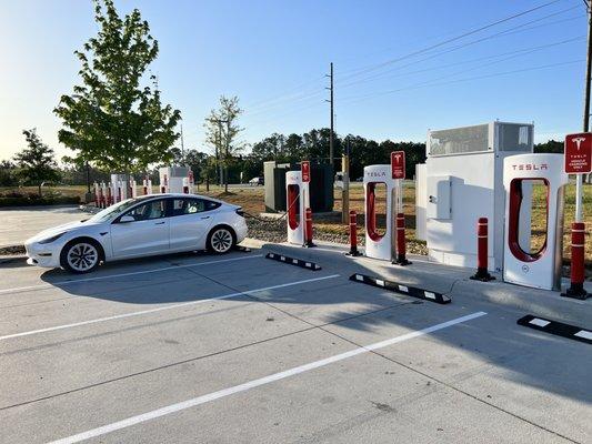 Tesla supercharging station at Buc-ee's!