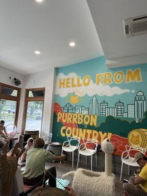 Purrfect Day Cat Cafe