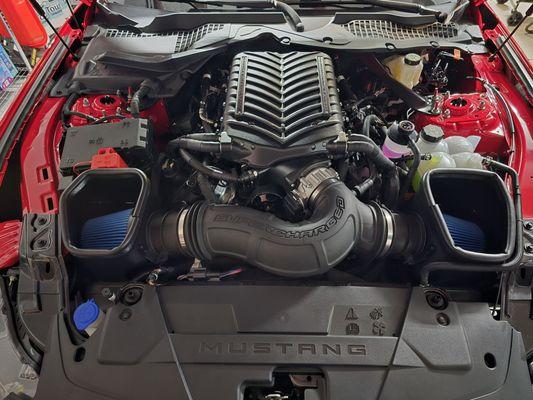 Darkhorse Whipple Supercharged with open air boxea