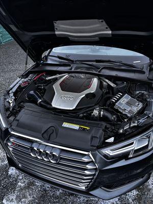 Elite Auto Detailing