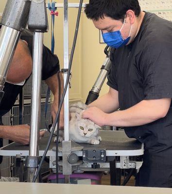 Bonnie's Dog & Cat Grooming