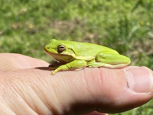 Yep my friend, we love all creatures, not just dogs!