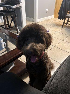 Love the way my baby hair Wouldn't take my baby anywhere else .