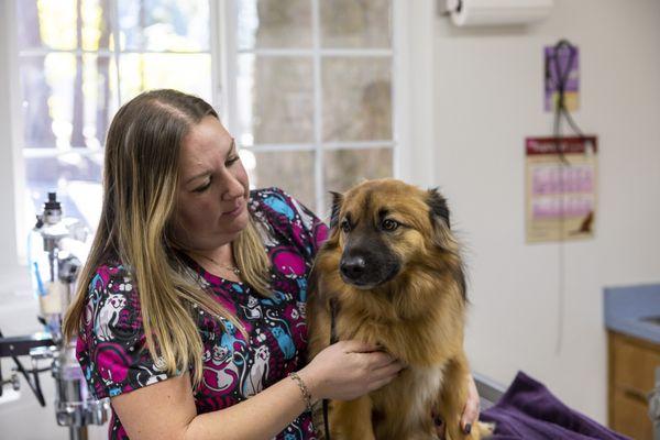 Pollock Pines Veterinary Hospital