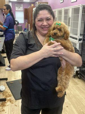 Four Paws Dog Grooming