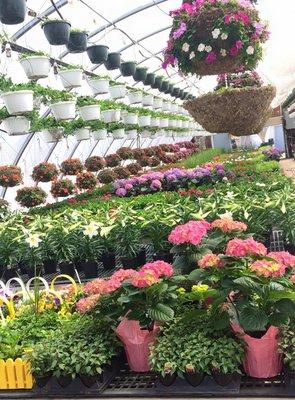 Harms Farm Garden Center