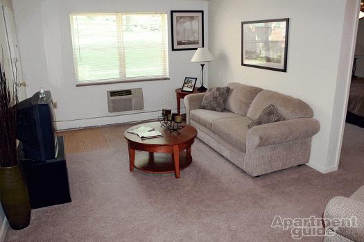 Large, newer windows let plenty of natural light into your apartment