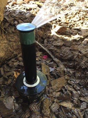 River City Rain Sprinklers and Landscape