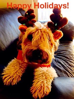 Park Animal Hospital