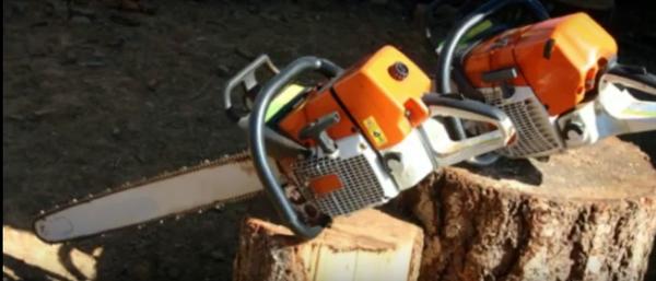 Kegley's Tree Company