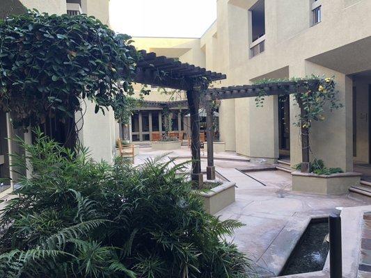 Pacific Tax Advisors