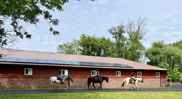 Strides of Grace Equestrian