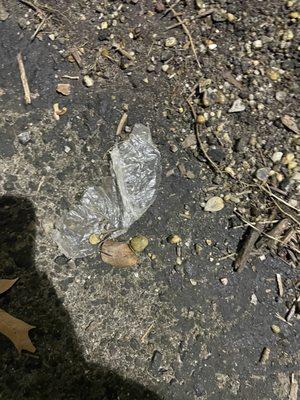 Praxis of Norfolk by Landmark Recovery