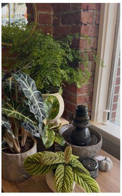 Offering a wide variety of plants, planters, art, home accessories and more.