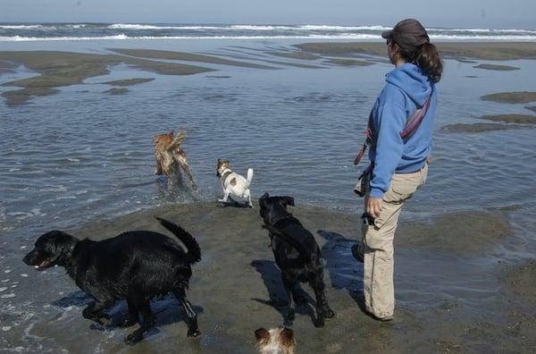 Ruff Riders K-9 Adventures