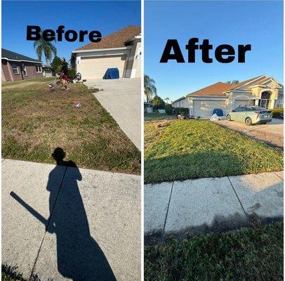 Costal Greenscape Landscaping