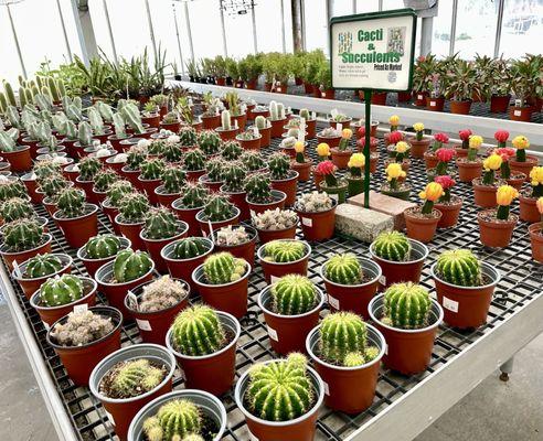 Rudolph Galley & Sons