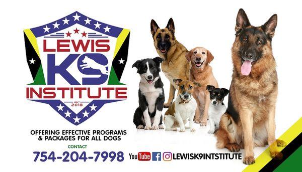 Lewisk 9 Institute