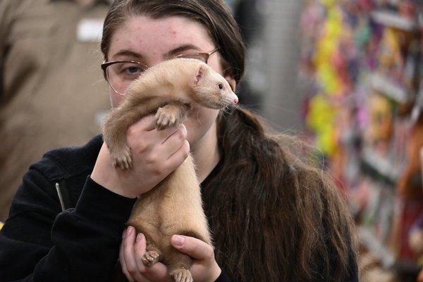 Jacob Corn Photography