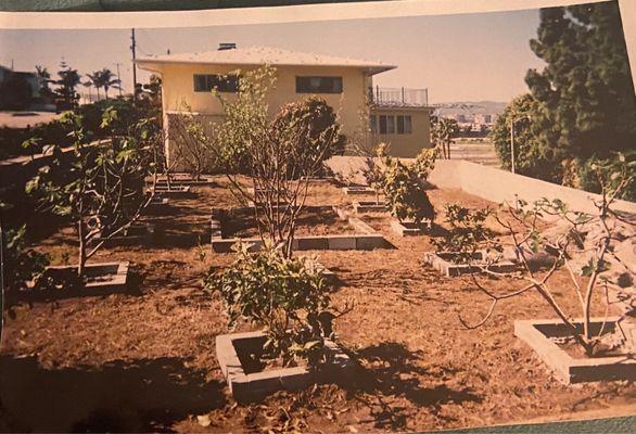 Joe Rodriguez Tree & Garden Service