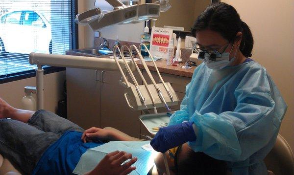 Maria Dolores Austria, DDS