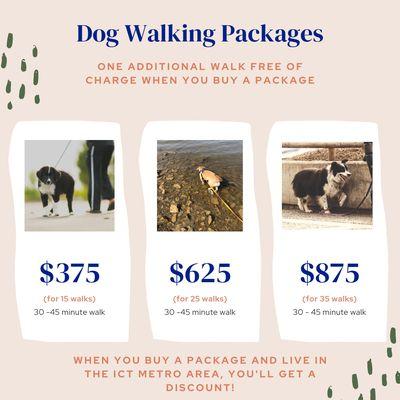 Dog Obedience Guidance and Support