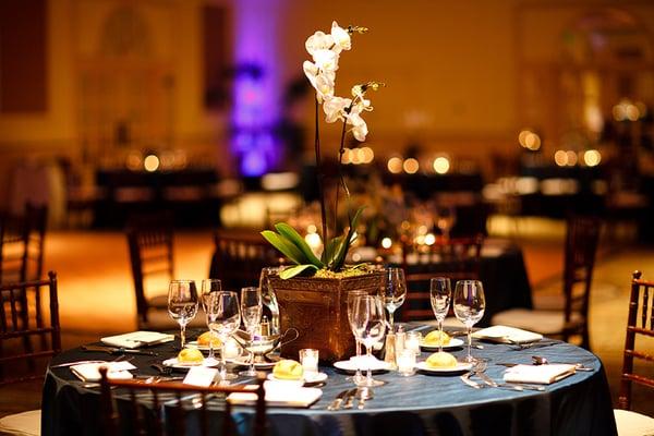 Evolution Productions