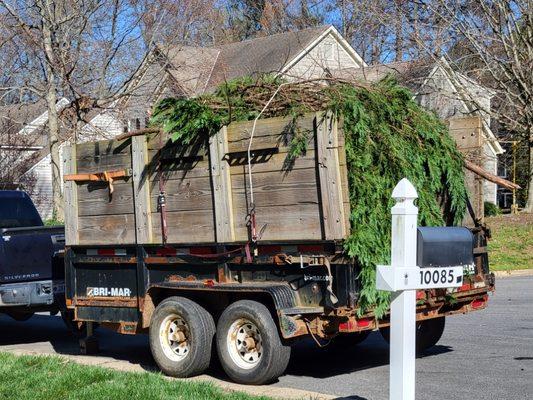 Schlueter Junk Removal and Hauling