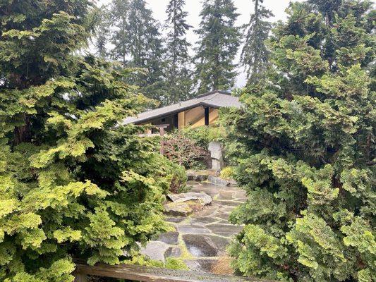 One of the most beautiful libraries I've ever been to.