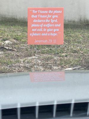 Haynor's Garden Design