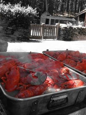 Backyard Lobsterbake in MA