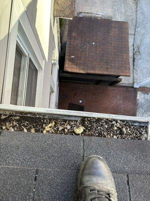 Potomac Pest Control