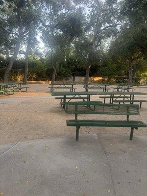 Seating before dusk 6.24.25