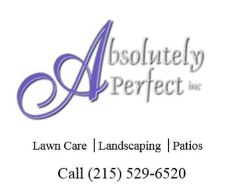 Absolutely Perfect Inc