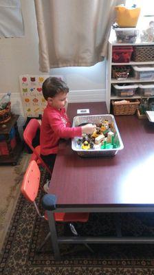 Tracey's Teddybear Daycare