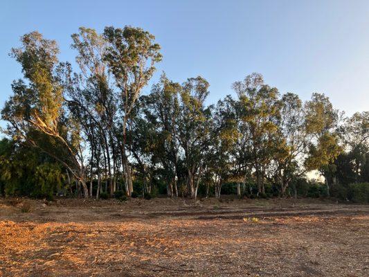 Be Kind Tree Service