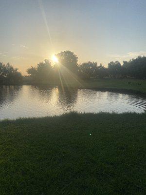 Pets And People Dog Park