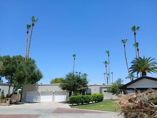 Apodaca's Landscaping Services