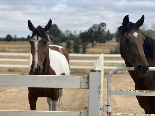 Sargent Equestrian Center