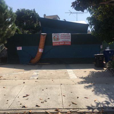 A-Accredit Termite & Pest Control Company