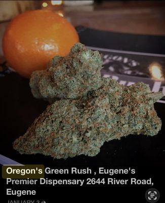 Oregons Green Rush