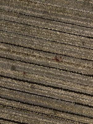 Holiday Inn Express & Suites