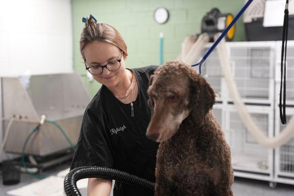 Ryleigh grooming Spooner!