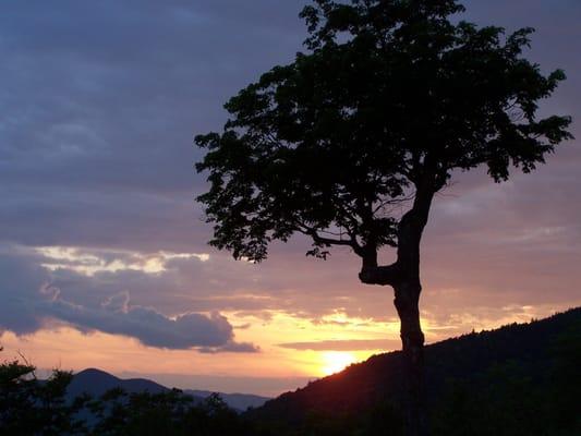 Sonshine Education Services